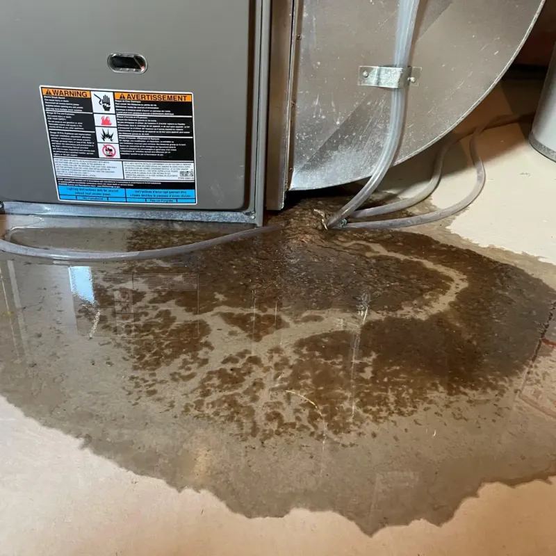 Appliance Leak Cleanup in Conejos County, CO