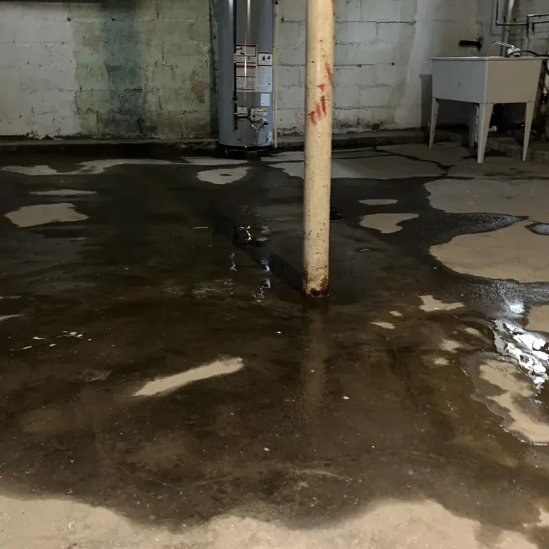 Emergency Water Extraction And Removal in Conejos County, CO